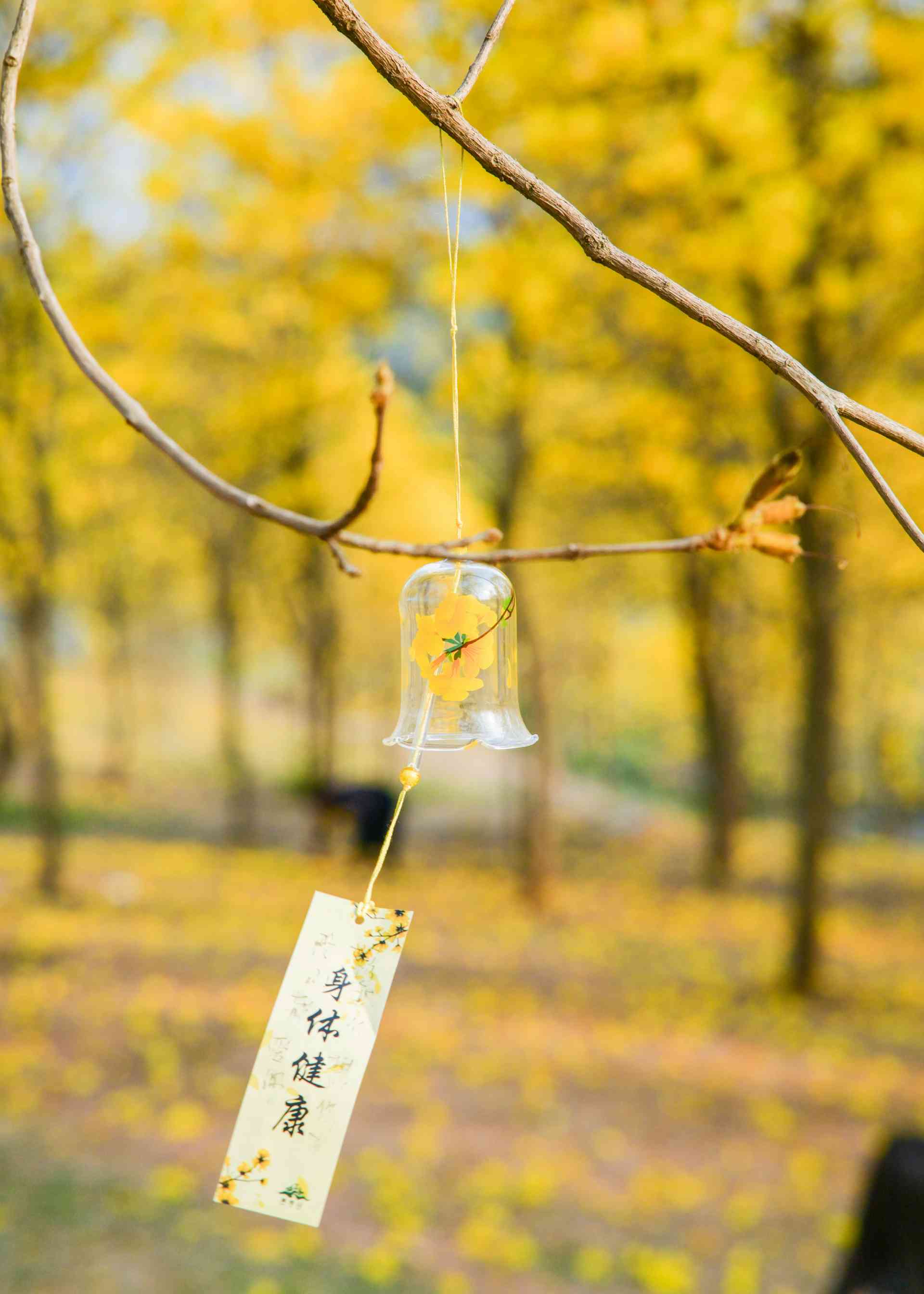 深入理解大模型缓存：从基础到显式缓存的实践指南