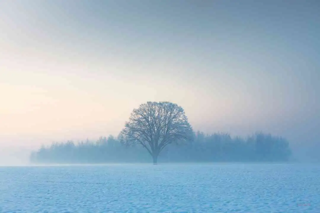 Mac好用的截屏工具推荐